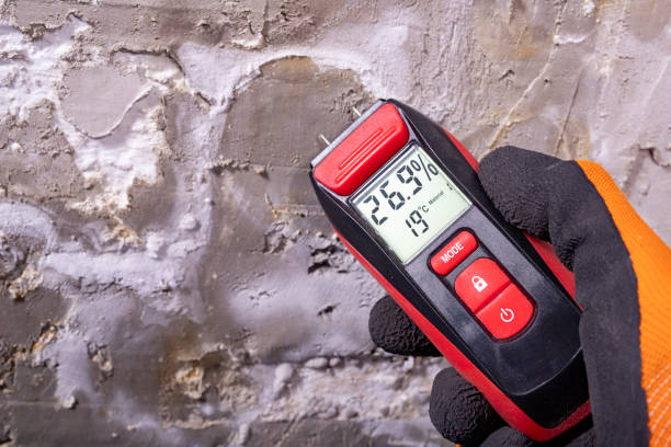 Best Mold Damage Repair  in Ocean City, MD