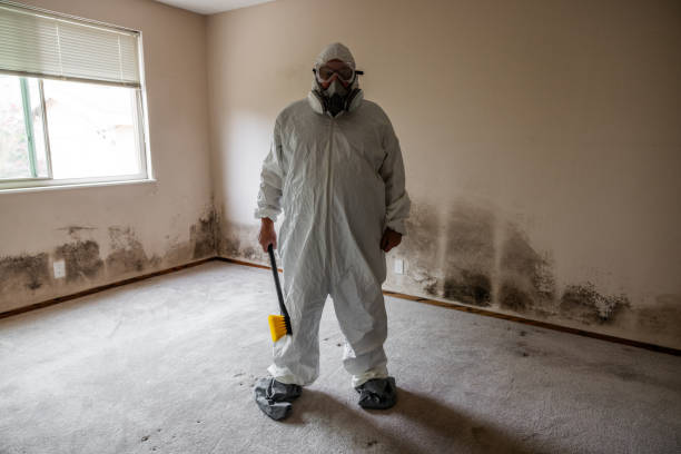 Certified Mold Removal in Ocean City, MD